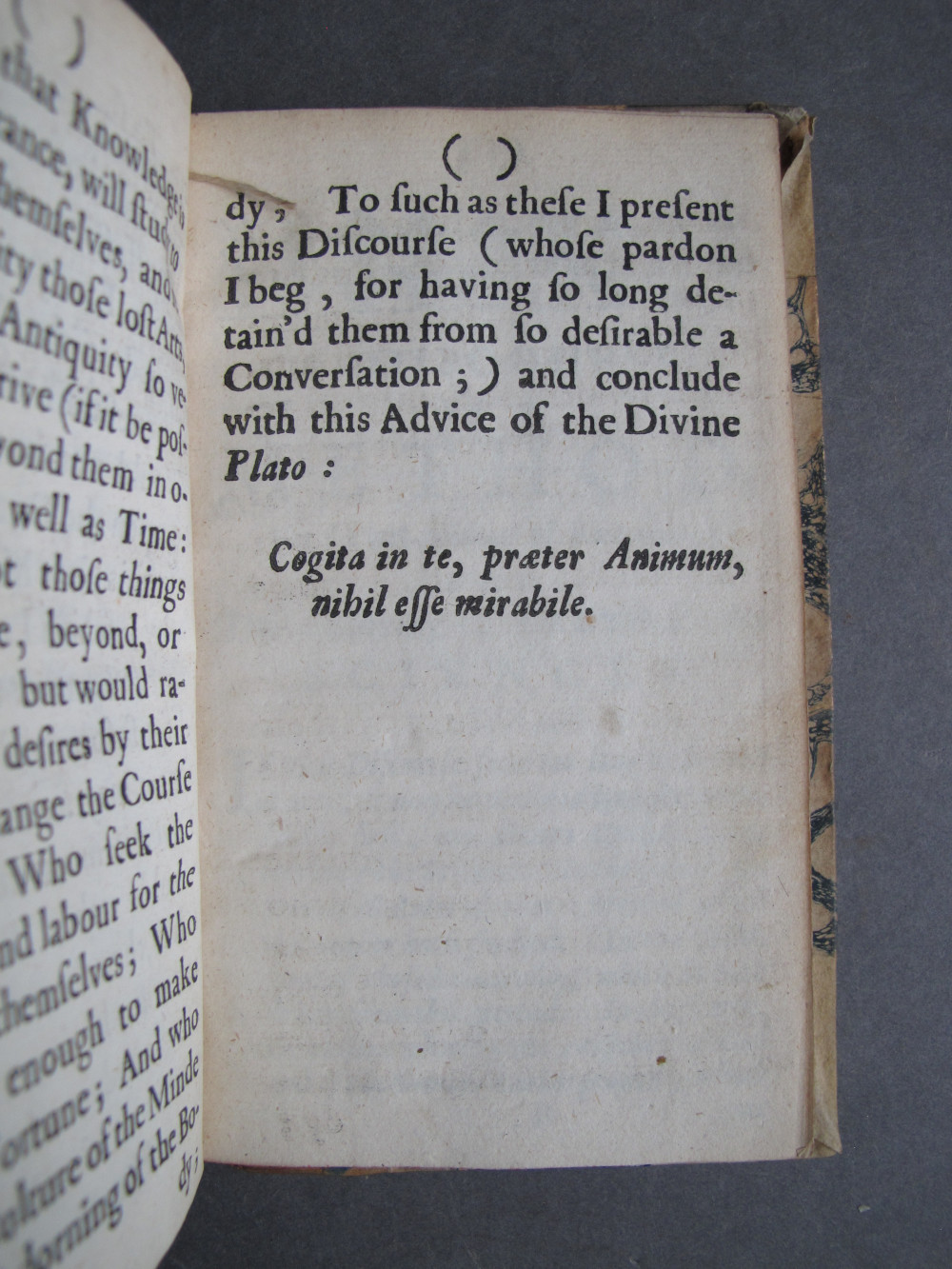 [Page vii]